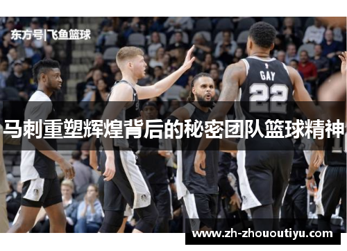 马刺重塑辉煌背后的秘密团队篮球精神