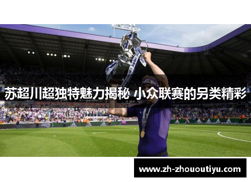 苏超川超独特魅力揭秘 小众联赛的另类精彩